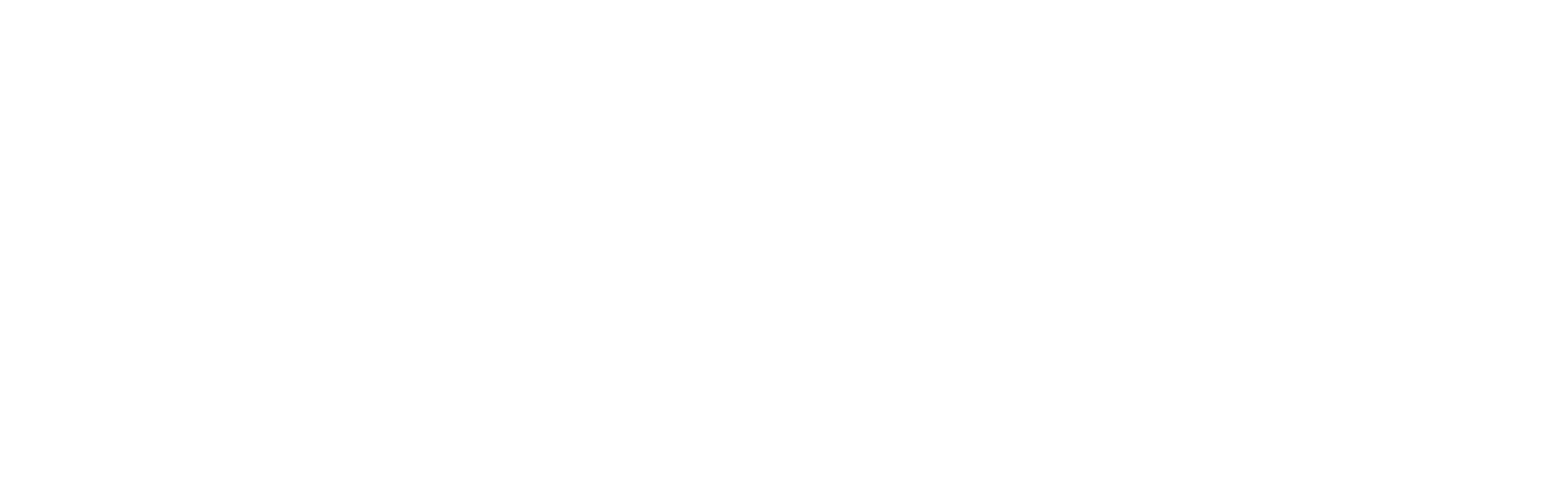 The Space Logo